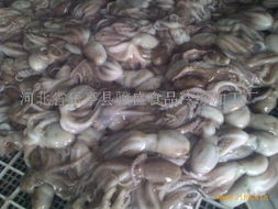 食品與日用品批發(fā)市場(chǎng)的現(xiàn)狀與發(fā)展趨勢(shì)