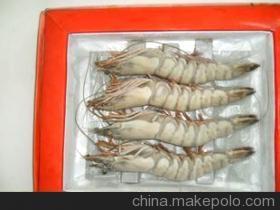 優(yōu)質(zhì)鮮活龍蝦與水產(chǎn)批發(fā)，廠家直銷(xiāo)保障品質(zhì)