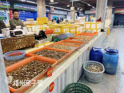 福州最全海鮮購(gòu)買(mǎi)攻略 從水產(chǎn)品批發(fā)市場(chǎng)到家庭餐桌