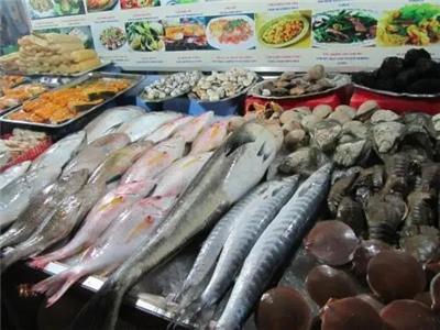 水產(chǎn)魚(yú)類(lèi)市場(chǎng)全景 價(jià)格、行情、展會(huì)與供應(yīng)鏈解析